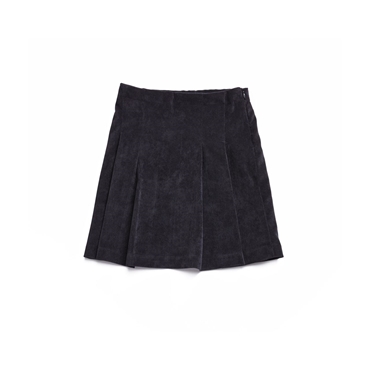 Picture of Blue velvet skirt