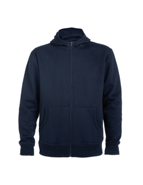 Picture of Blue hoodie - first price